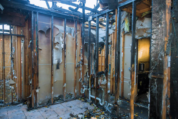 Professional Smoke Damage Removal technician working in Greenlawn, NY
